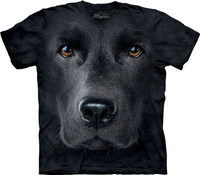 Black Lab Face