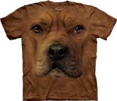 Pitt-Bull Face